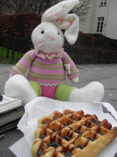 Chase tackling a Belgian Waffle